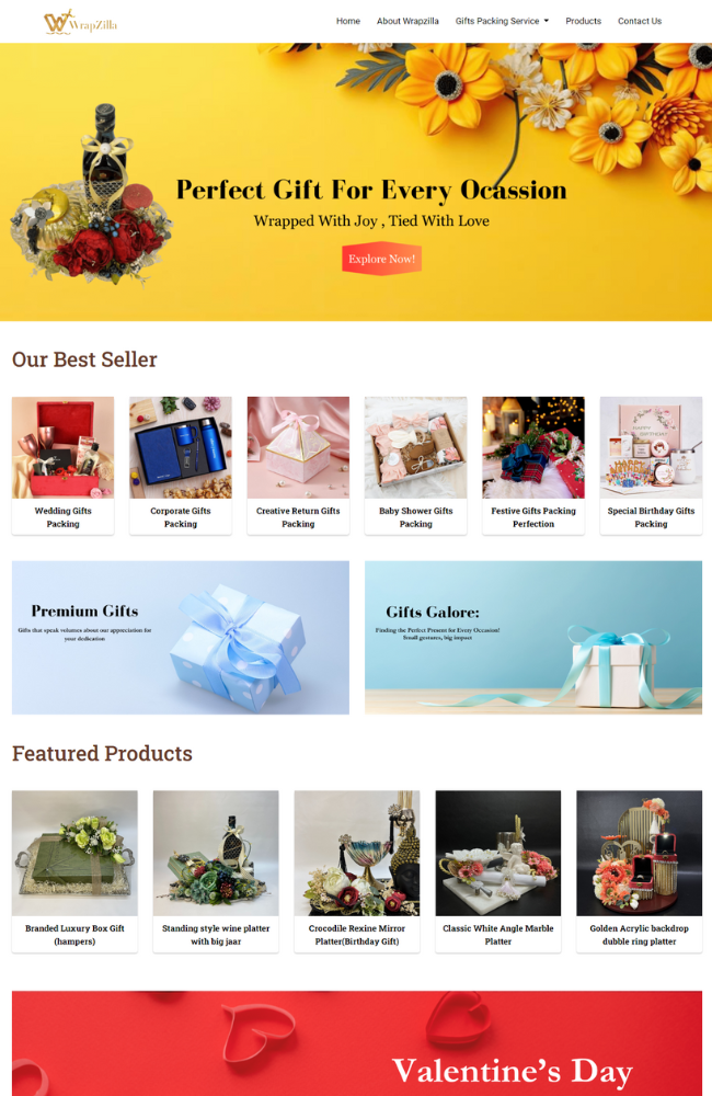 Website Designing Agency in USA | Our Portfolio